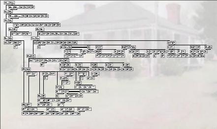 Hinchey Family Tree (cover image)